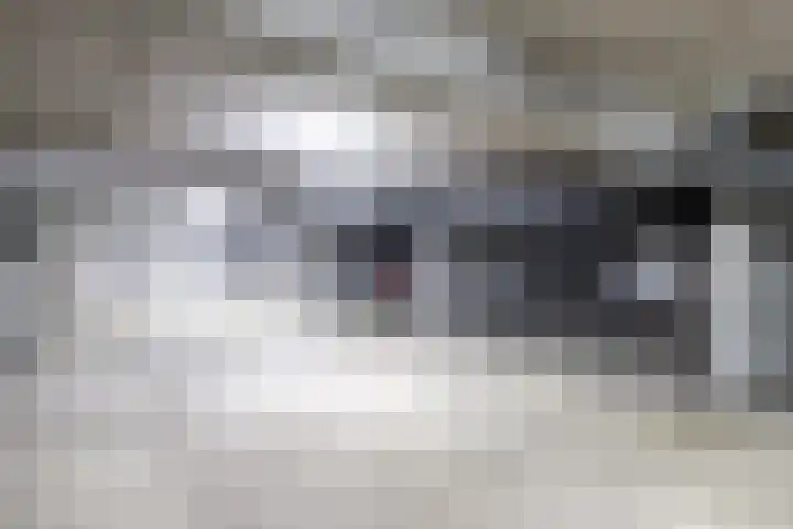 Nijverheidssingel 119 Breda thumbnail 22