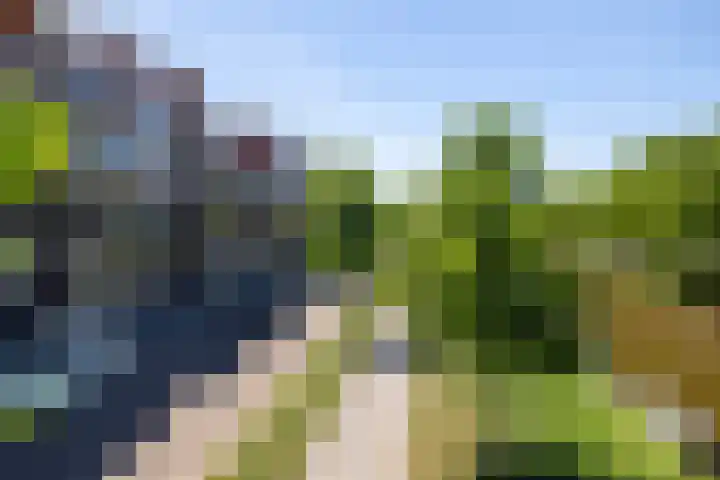 Nijverheidssingel 119 Breda thumbnail 23