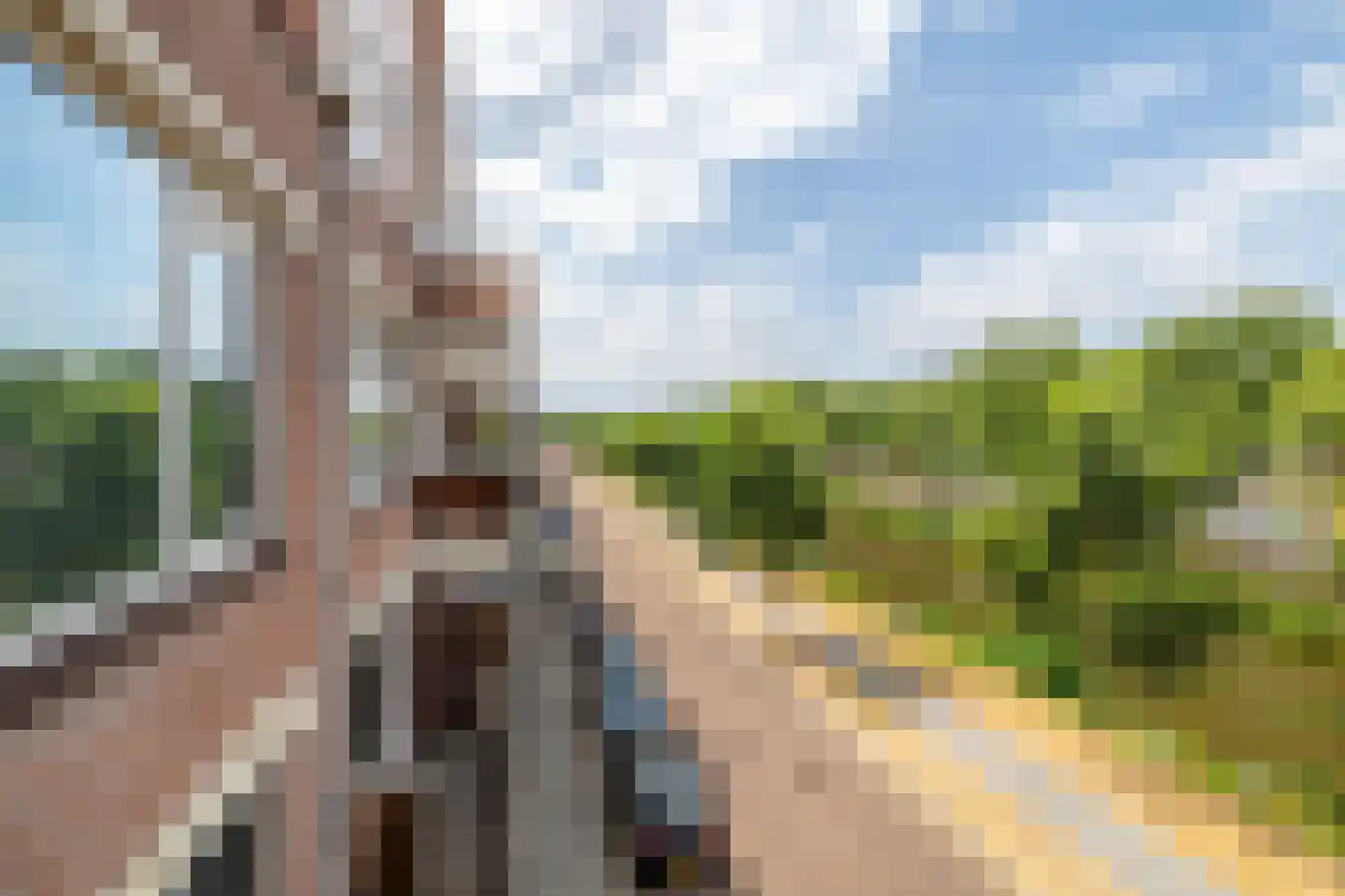 Nijverheidssingel 127 Breda thumbnail 20