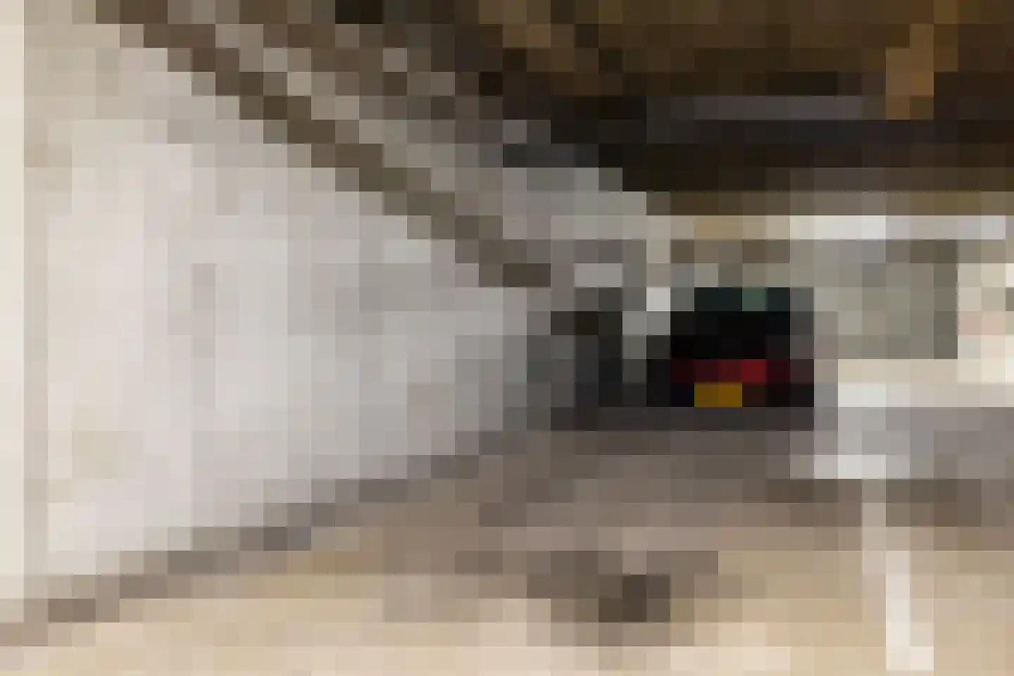 Nijverheidssingel 127 Breda thumbnail 22