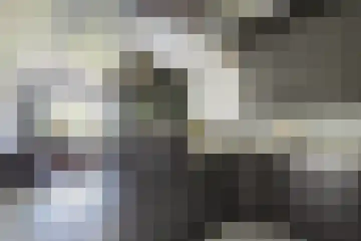 Nijverheidssingel 173 Breda thumbnail 17