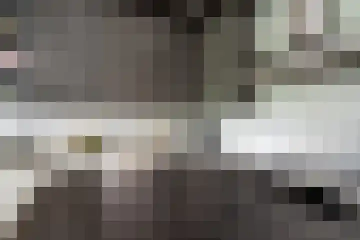 Nijverheidssingel 173 Breda thumbnail 18