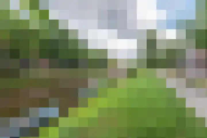 Nijverheidssingel 173 Breda thumbnail 29