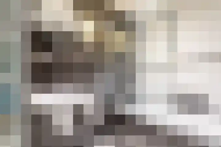 Nijverheidssingel 173 Breda thumbnail 5
