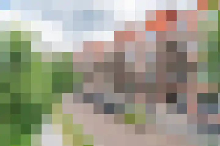 Nijverheidssingel 173 Breda thumbnail 6