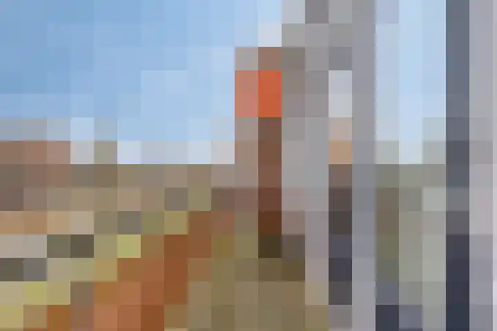 Nijverheidssingel 181 Breda thumbnail 15