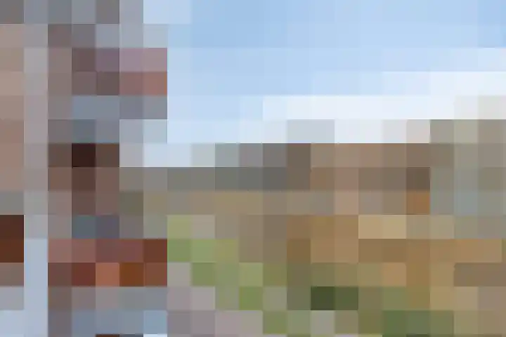 Nijverheidssingel 181 Breda thumbnail 22