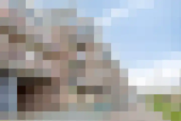Nijverheidssingel 181 Breda thumbnail 23