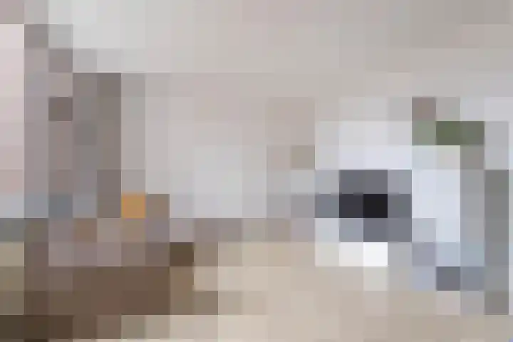 Nijverheidssingel 191 Breda thumbnail 10