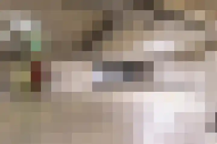 Nijverheidssingel 191 Breda thumbnail 18