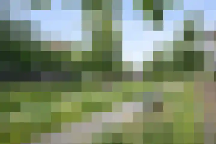 Nijverheidssingel 191 Breda thumbnail 20
