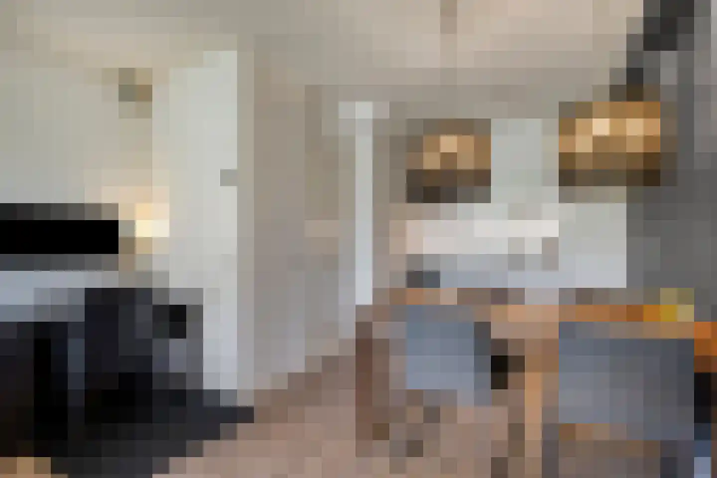 Nijverheidssingel 193 Breda thumbnail 12