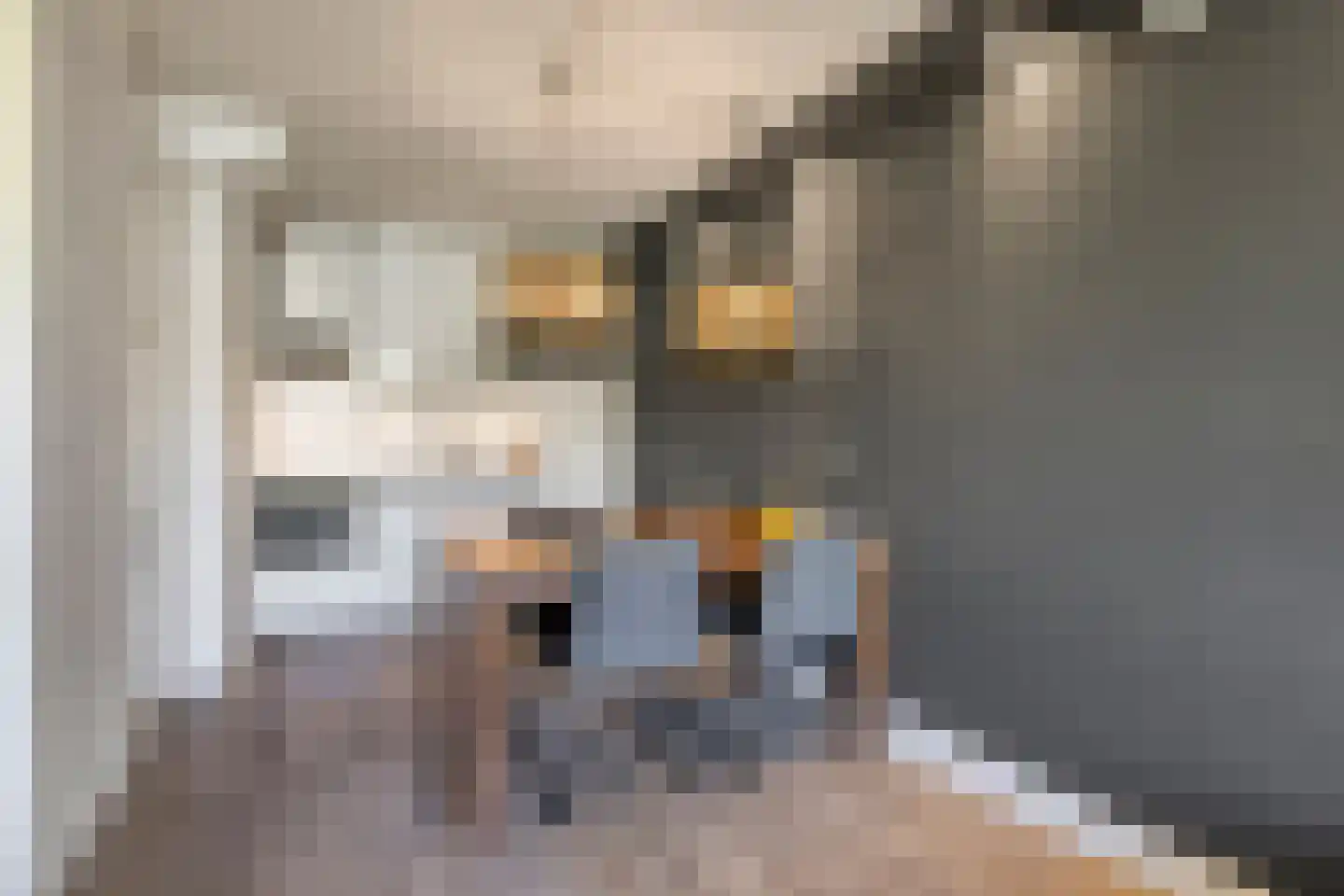 Nijverheidssingel 193 Breda thumbnail 17