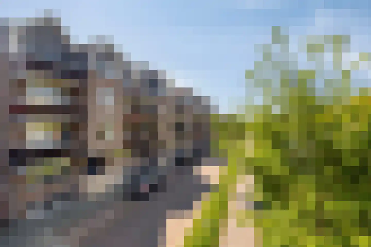 Nijverheidssingel 193 Breda thumbnail 32