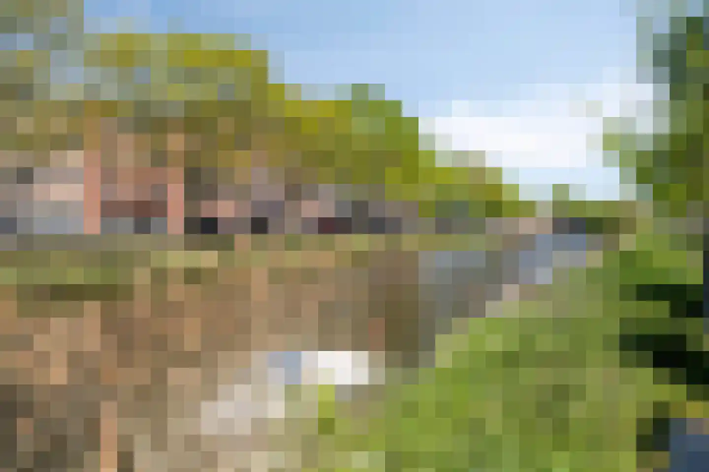 Nijverheidssingel 193 Breda thumbnail 39