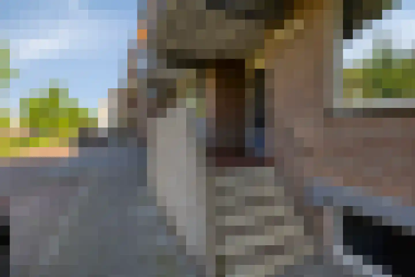 Nijverheidssingel 193 Breda thumbnail 6