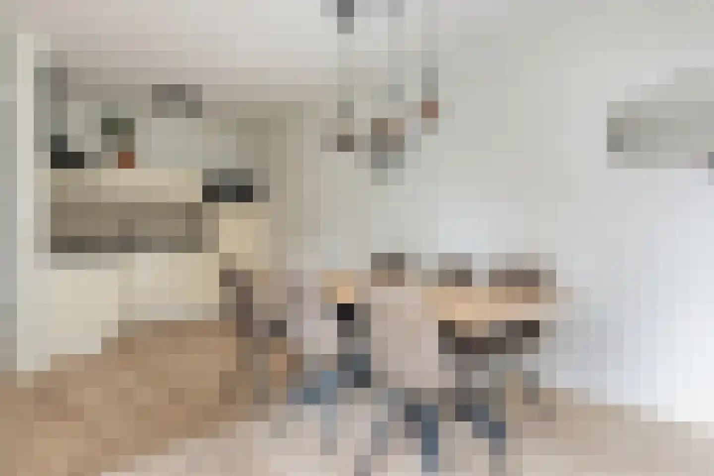 Nijverheidssingel 209 Breda thumbnail 24