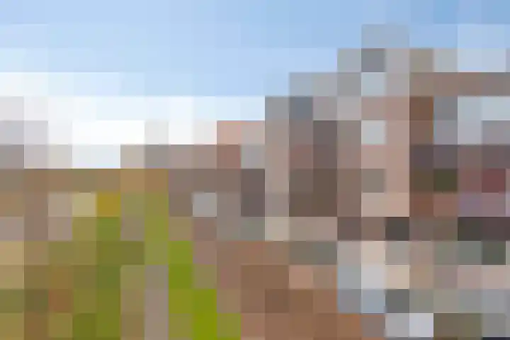 Nijverheidssingel 225 Breda thumbnail 24