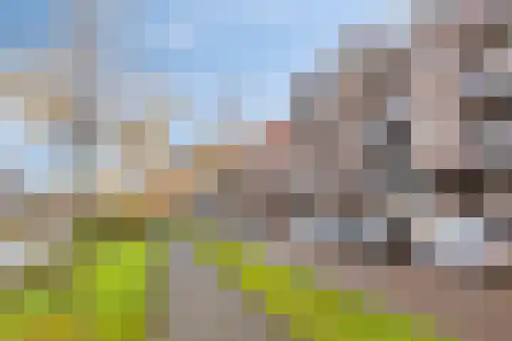 Nijverheidssingel 225 Breda thumbnail 27