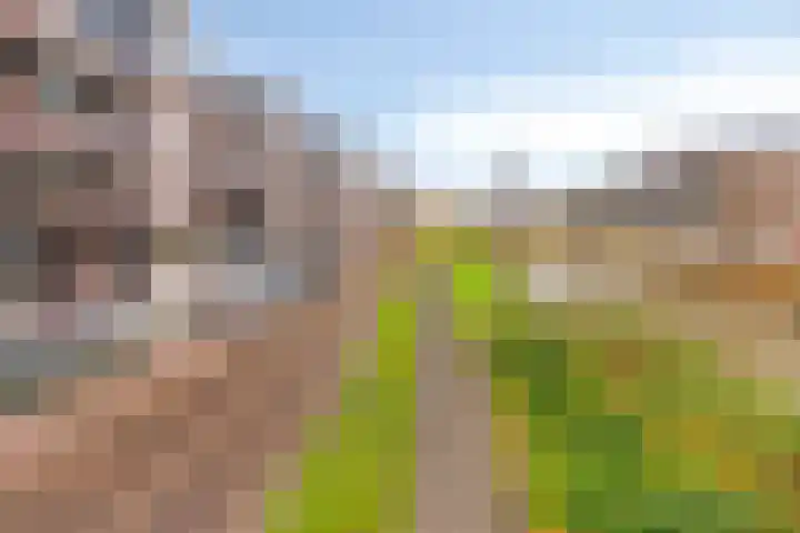 Nijverheidssingel 225 Breda thumbnail 28