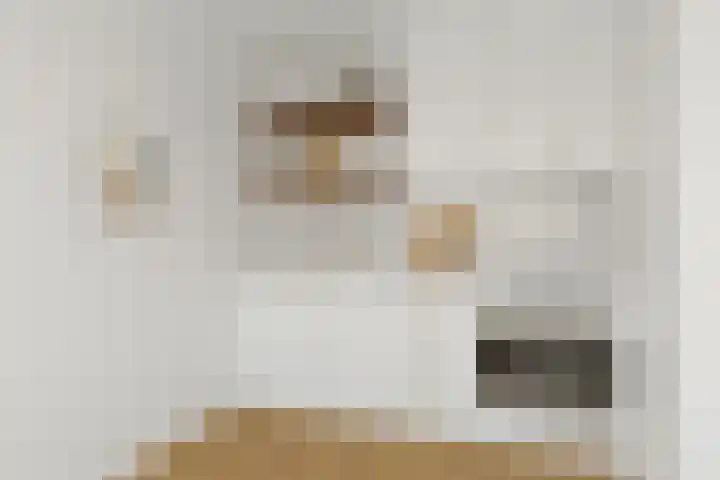 Nijverheidssingel 225 Breda thumbnail 5
