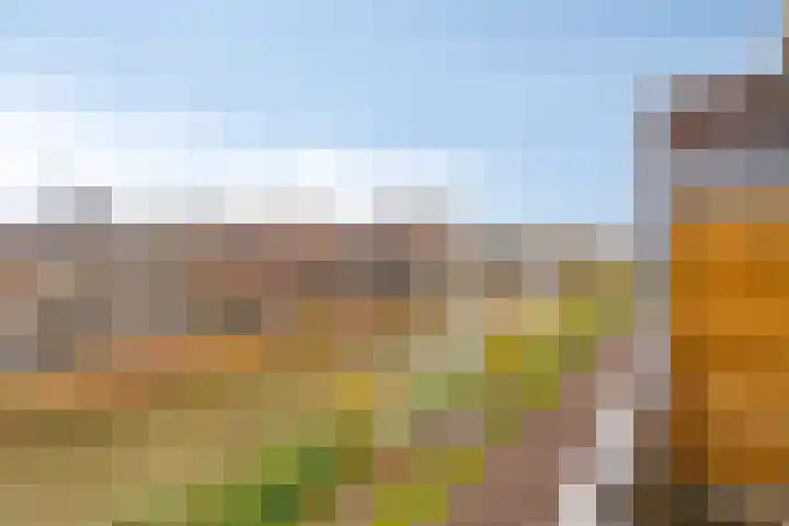 Nijverheidssingel 225 Breda thumbnail 8