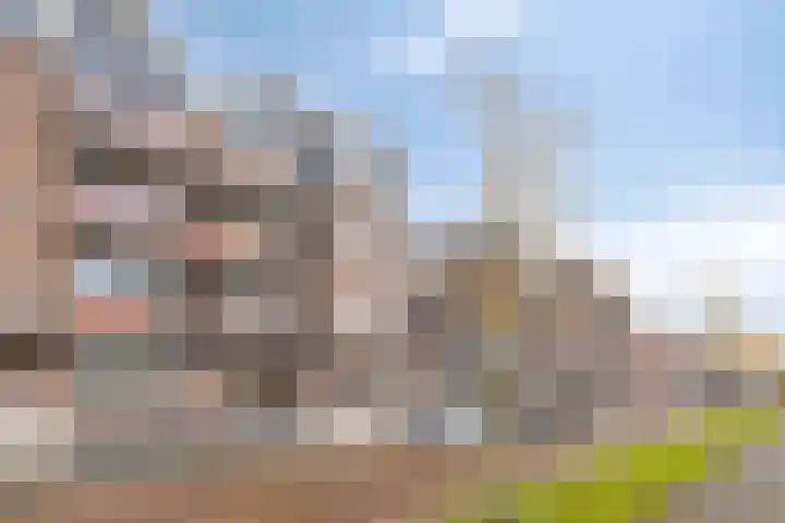 Nijverheidssingel 225 Breda thumbnail 9