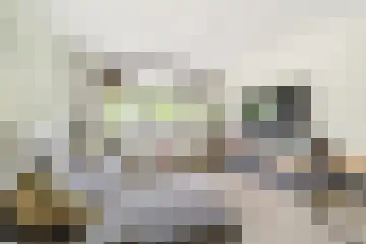 Nijverheidssingel 229 Breda thumbnail 10