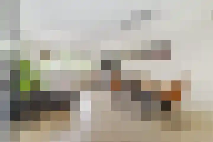 Nijverheidssingel 229 Breda thumbnail 11