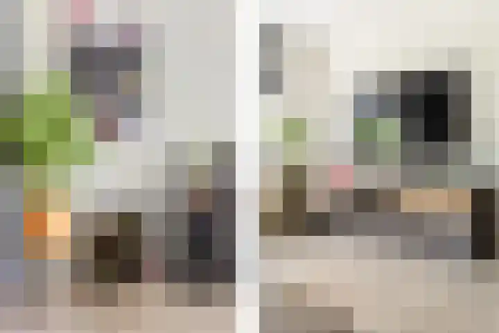 Nijverheidssingel 229 Breda thumbnail 12