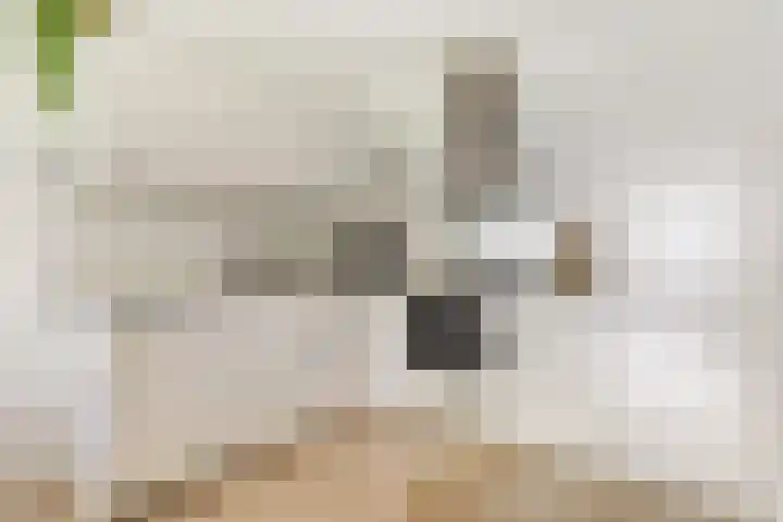 Nijverheidssingel 229 Breda thumbnail 14