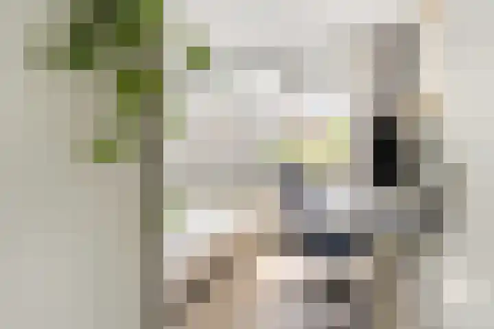 Nijverheidssingel 229 Breda thumbnail 16