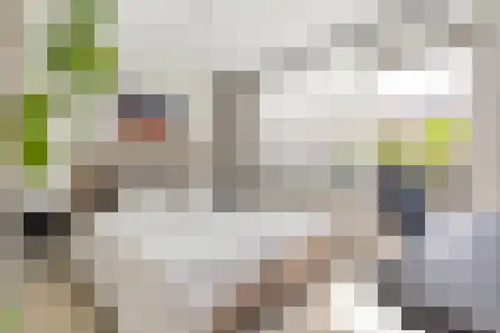 Nijverheidssingel 229 Breda thumbnail 17
