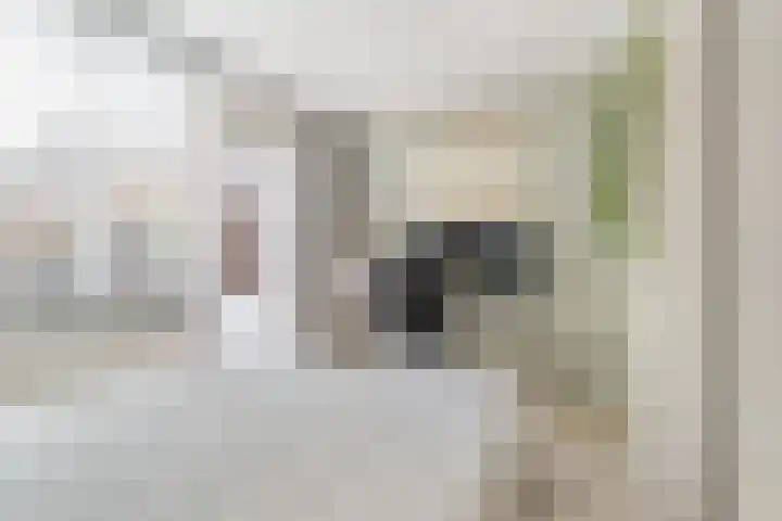 Nijverheidssingel 229 Breda thumbnail 19