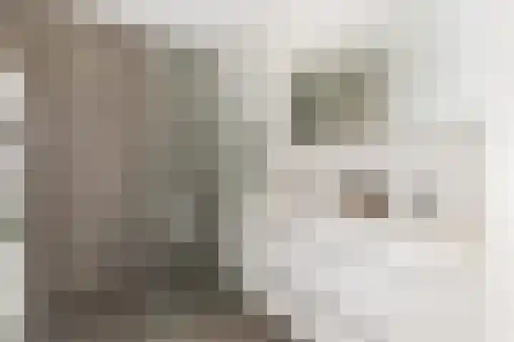 Nijverheidssingel 229 Breda thumbnail 20