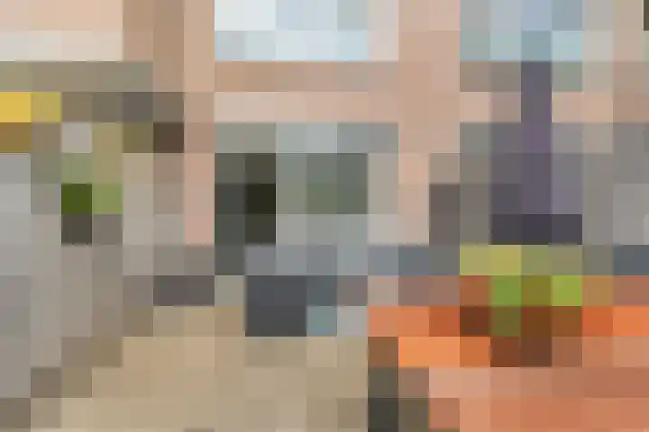 Nijverheidssingel 229 Breda thumbnail 24