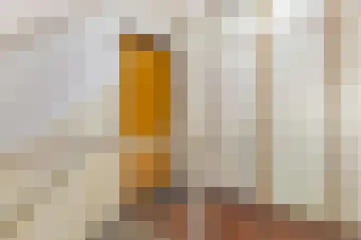 Nijverheidssingel 229 Breda thumbnail 31