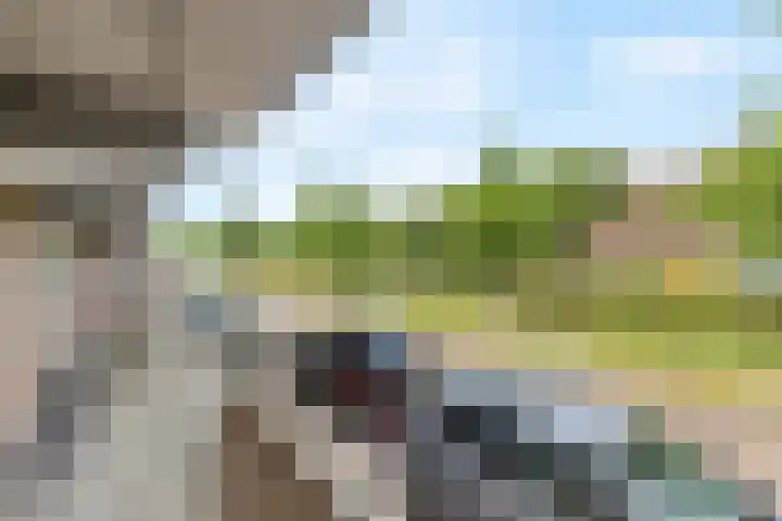 Nijverheidssingel 229 Breda thumbnail 34