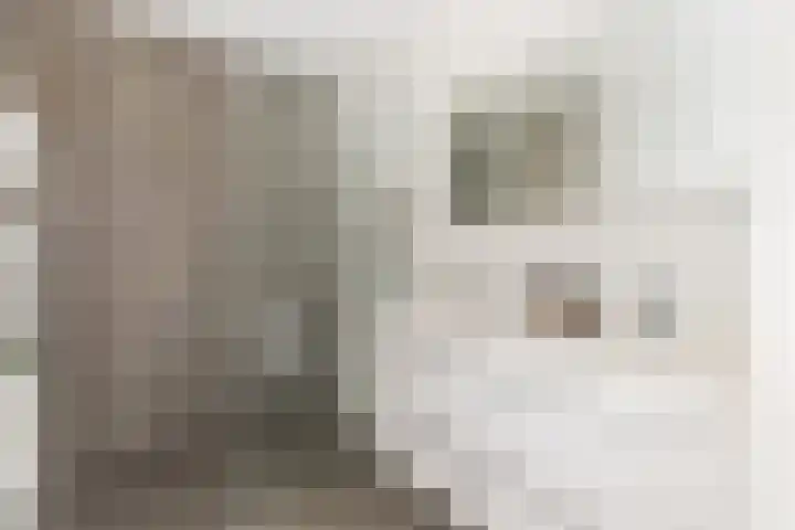 Nijverheidssingel 229 Breda thumbnail 5