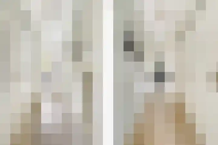 Nijverheidssingel 229 Breda thumbnail 8