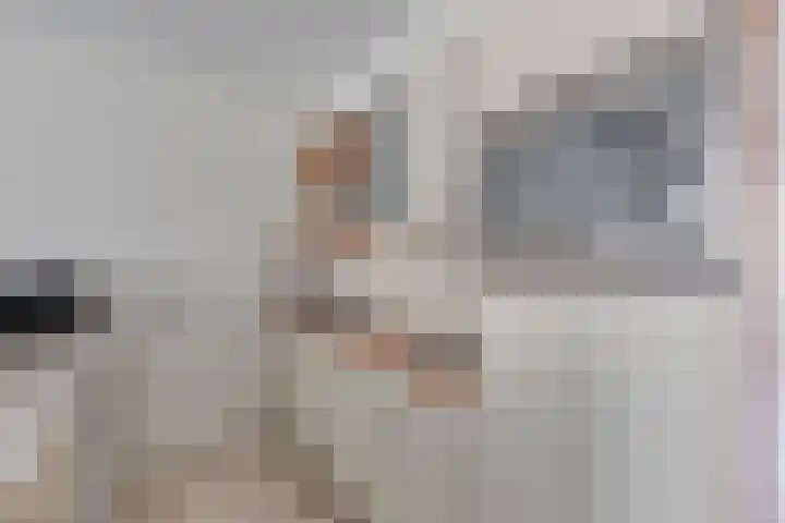 Nijverheidssingel 271 Breda thumbnail 10