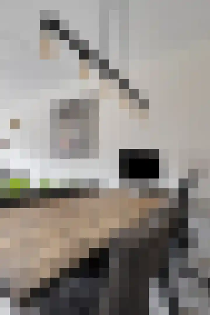 Nijverheidssingel 271 Breda thumbnail 12