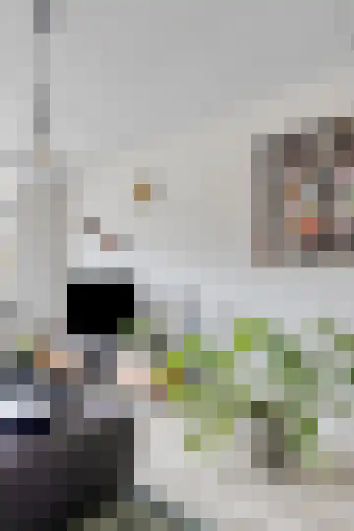 Nijverheidssingel 271 Breda thumbnail 13