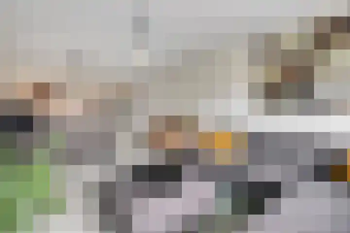 Nijverheidssingel 271 Breda thumbnail 15