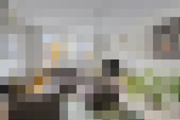 Nijverheidssingel 271 Breda thumbnail 17