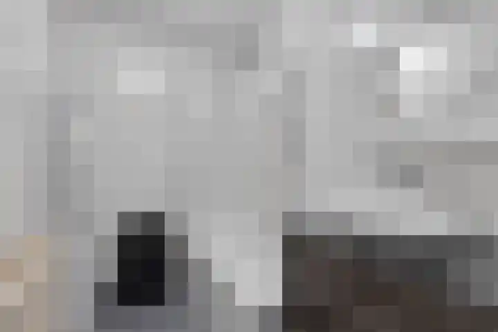 Nijverheidssingel 271 Breda thumbnail 18