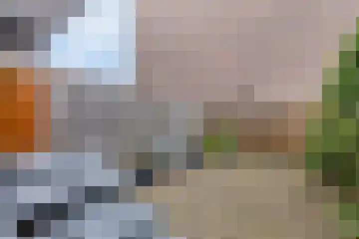 Nijverheidssingel 271 Breda thumbnail 29