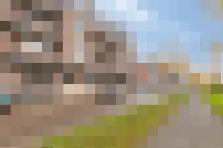 Nijverheidssingel 271 Breda thumbnail 4
