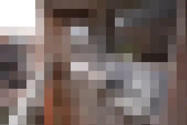 Nijverheidssingel 281 Breda thumbnail 17