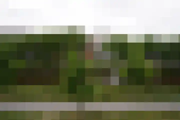 Nijverheidssingel 281 Breda thumbnail 4